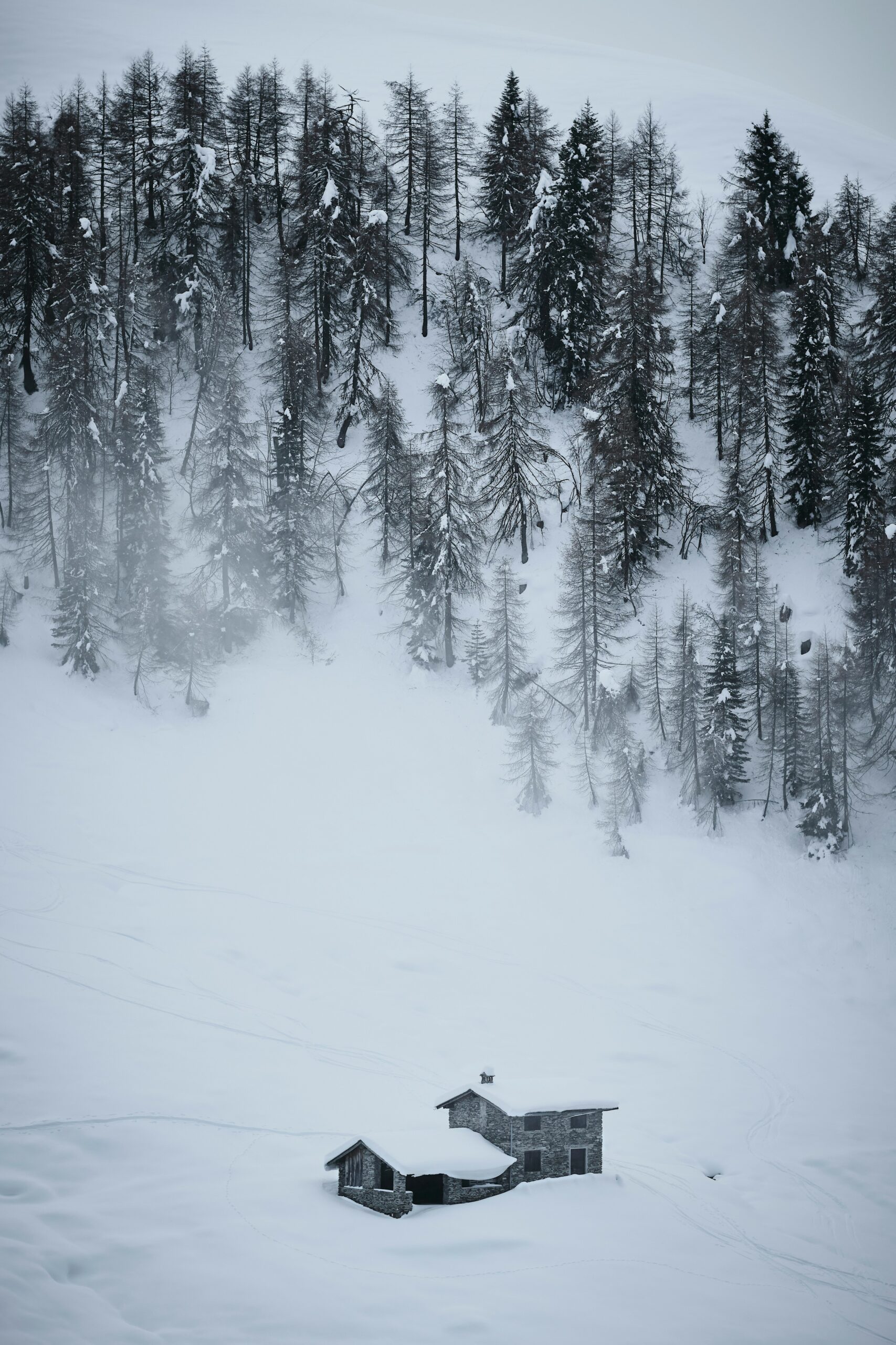 Beitragsbild von Hallo Welt